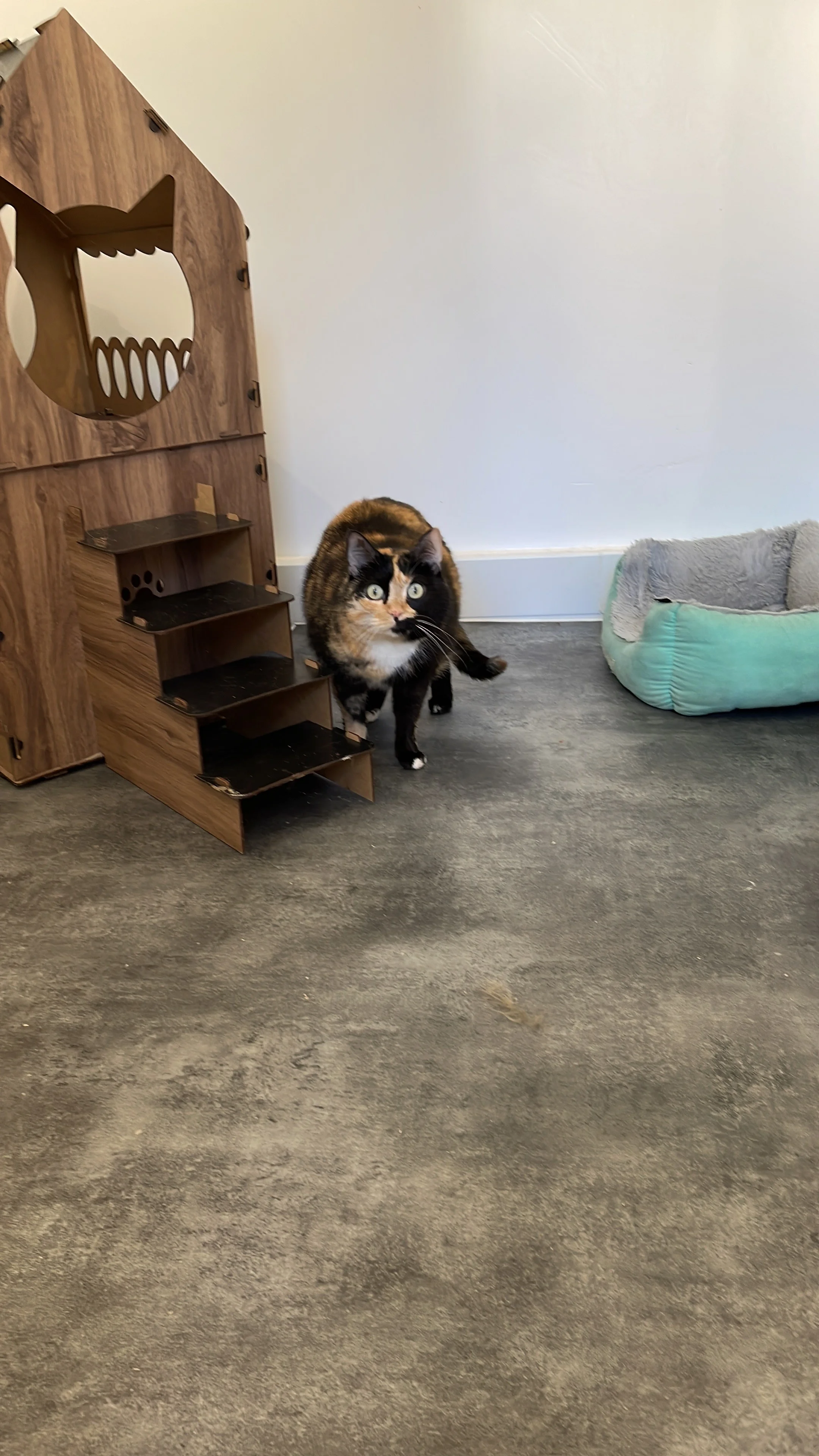 61b7fc18 4bdd 45b7 a1f3 cfb6697f9c01