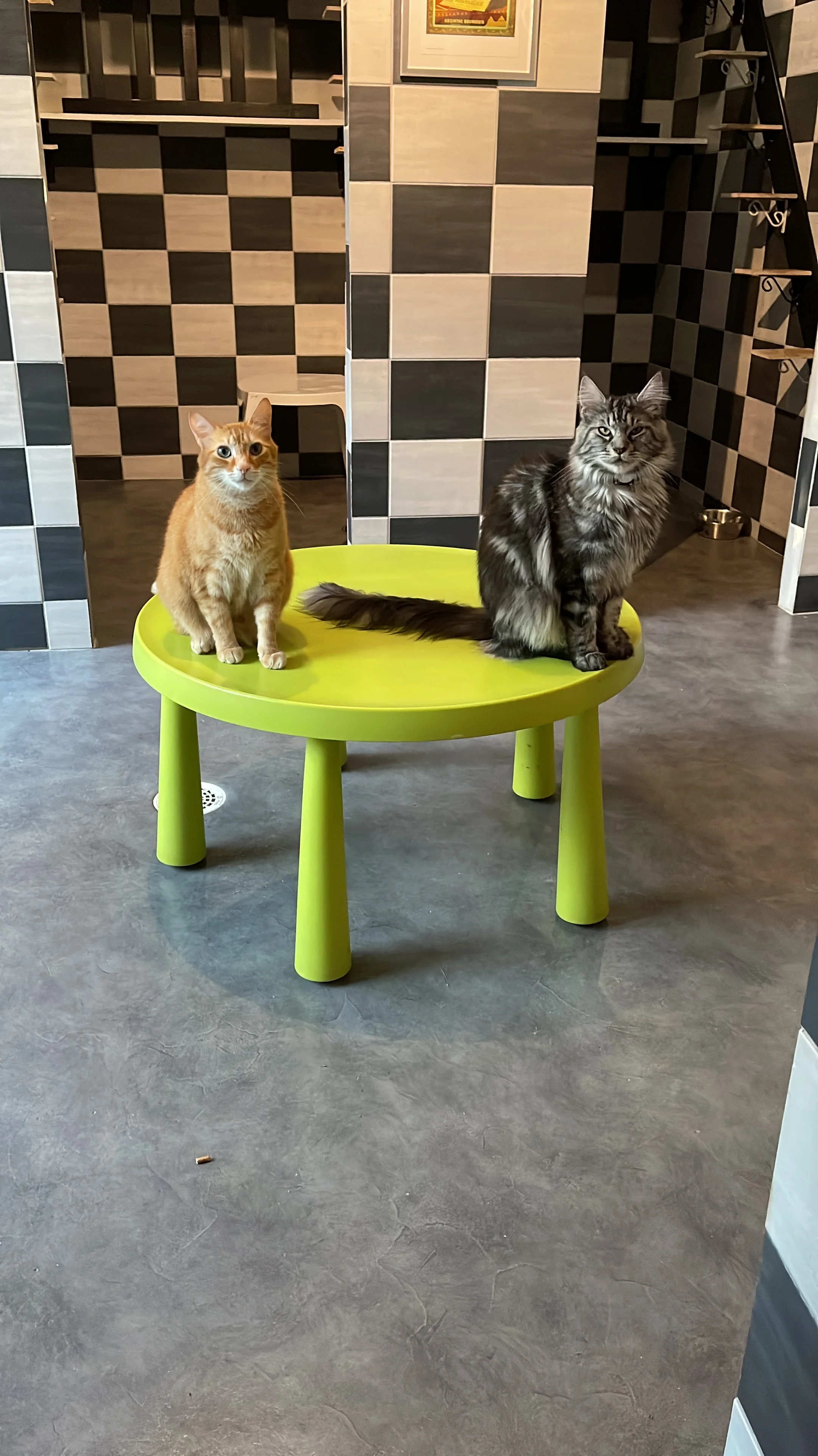 Ddd12ee6 c641 4f4d 8375 54639cbe2cd0